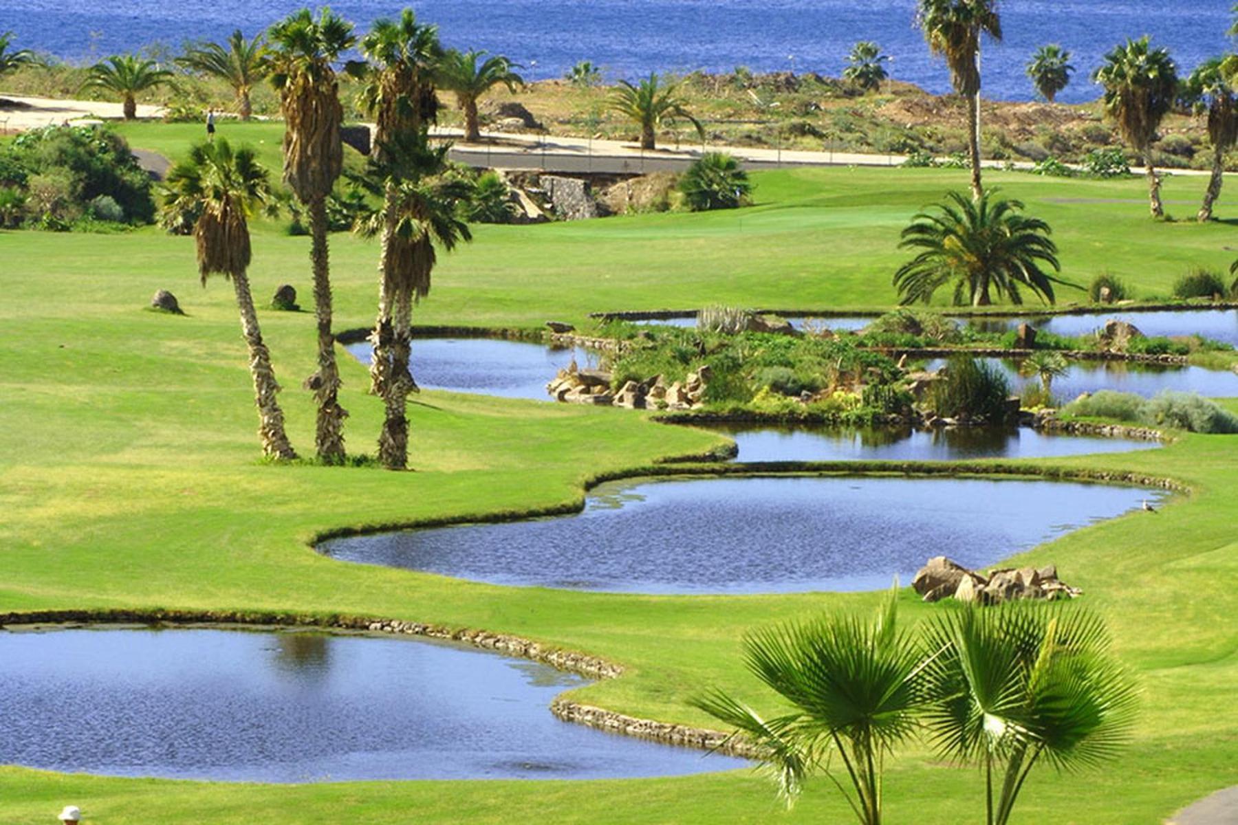 Tenerife Luxury Apartment Costa Adeje Eksteriør billede